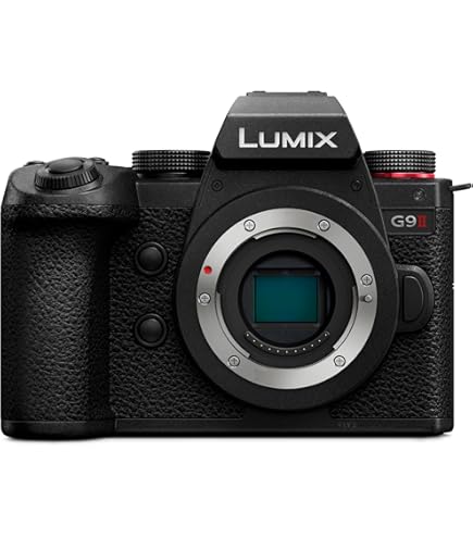 Amazon.com : Panasonic Lumix DC-GX9 Mirrorless Micro Four Thirds